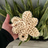 Daisy Flower-Shaped Sisal Bath Scrubber